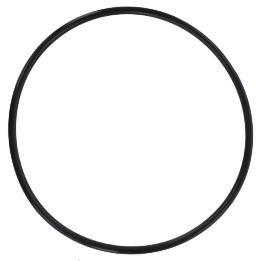 Picture of O-RING