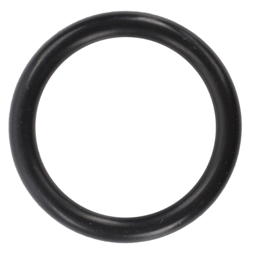 Picture of O-RING
