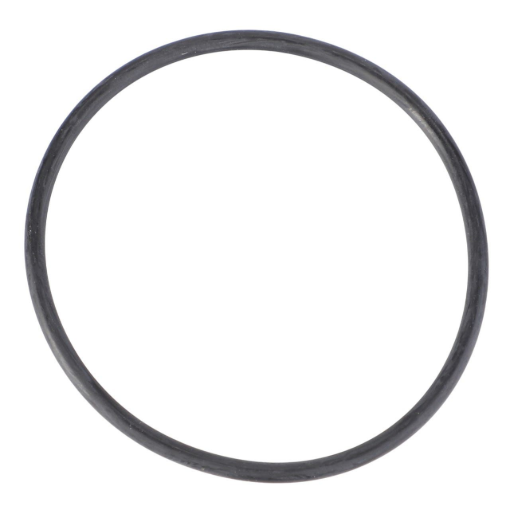 Picture of O-RING