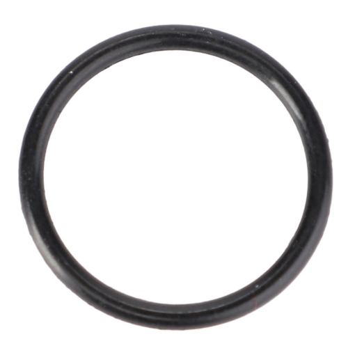 Picture of O-RING