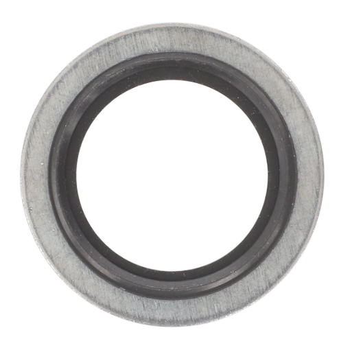 Picture of DICHTRING