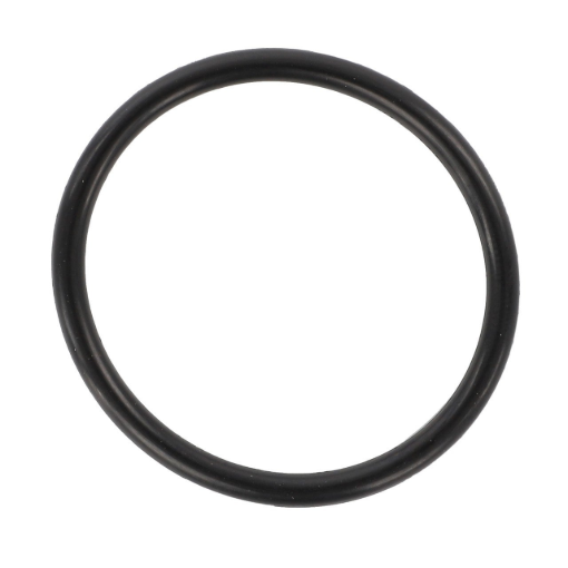Picture of O-RING