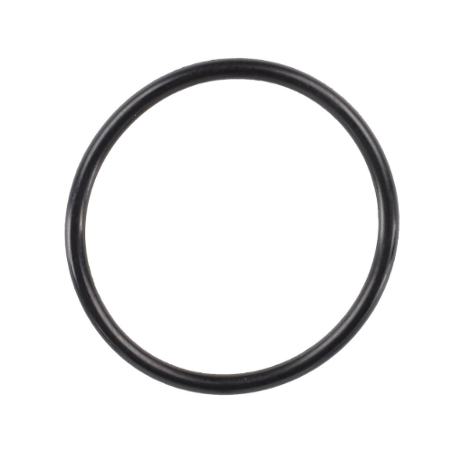Picture of O-RING