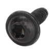 Picture of BH CAPSCREW