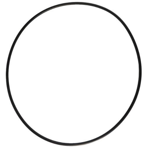 Picture of O-RING