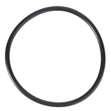 Picture of O-RING