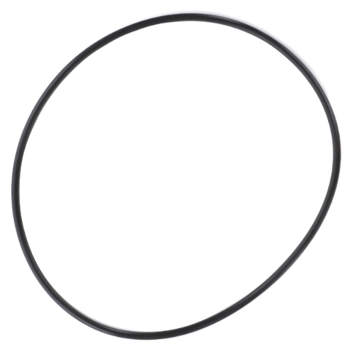 Picture of SEAL RING
