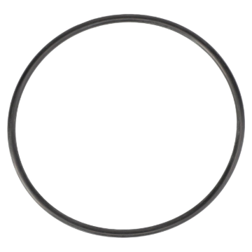 Picture of O-RING