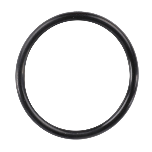 Picture of O-RING