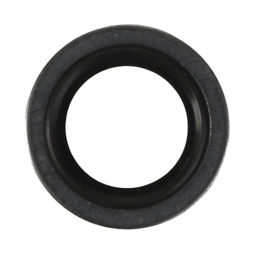 Picture of RING