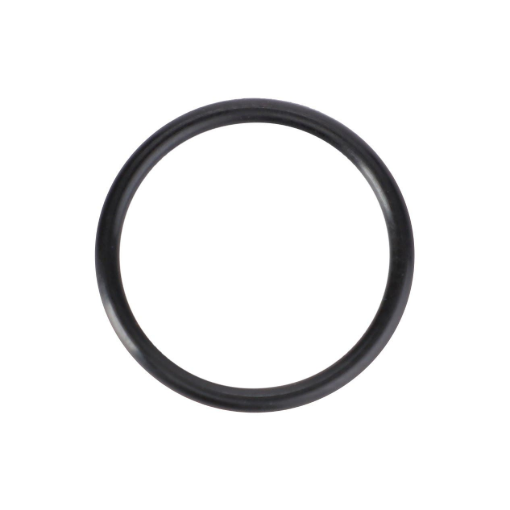 Picture of O-RING