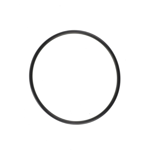 Picture of O-RING