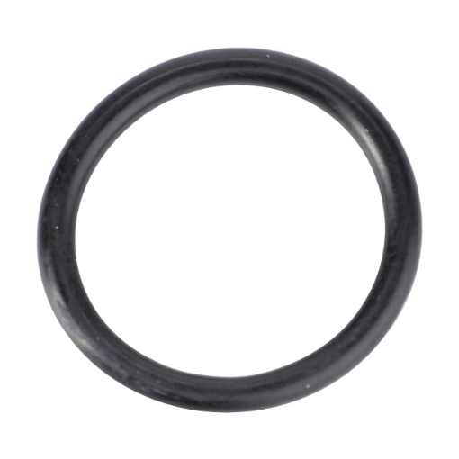 Picture of O-RING
