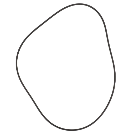 Picture of O-RING