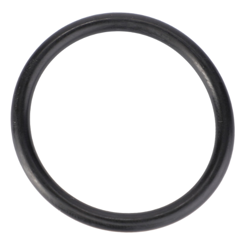 Picture of O-RING