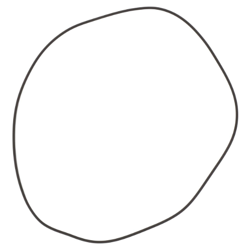 Picture of O-RING