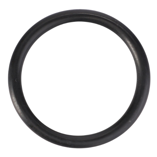 Picture of O-RING