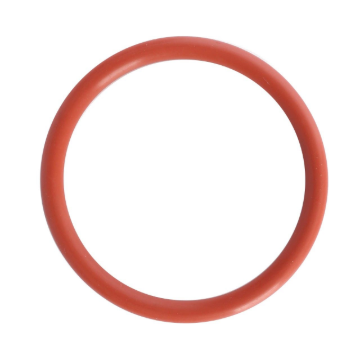 Picture of O-RING