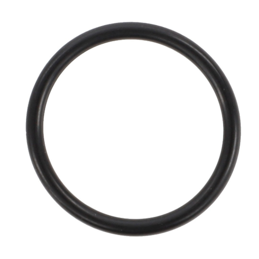 Picture of O-RING