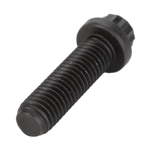 Picture of BOUT