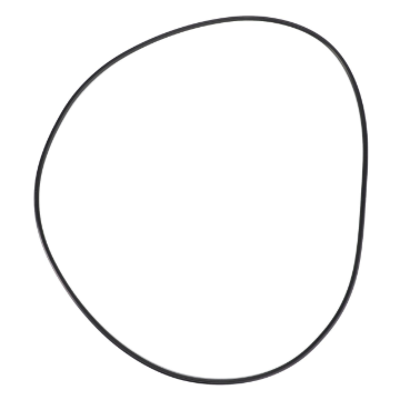 Picture of O-RING