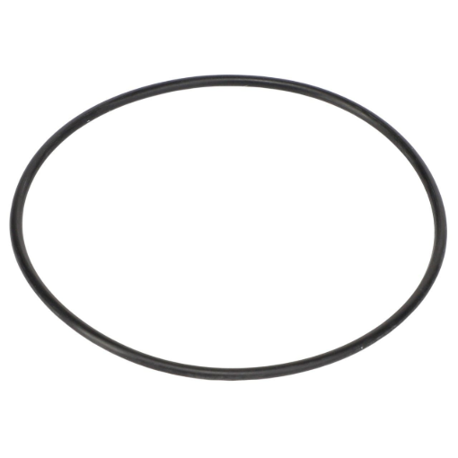 Picture of O-RING