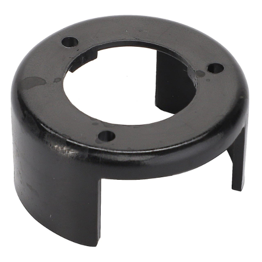Picture of RING