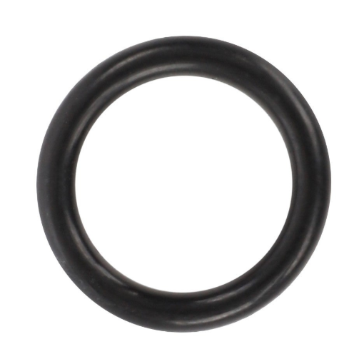 Picture of O-RING