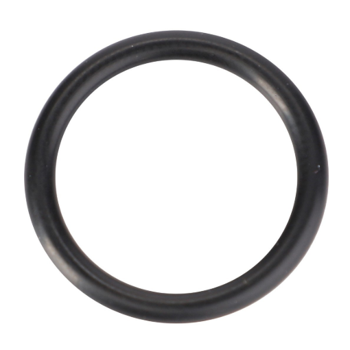 Picture of O-RING