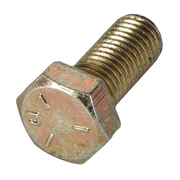 Picture of BOUT