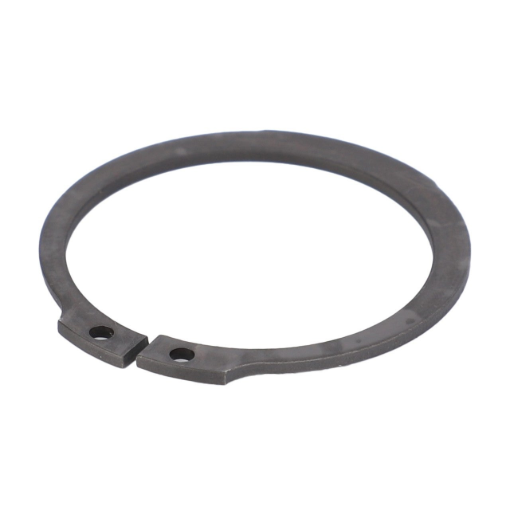 Picture of CLIPS