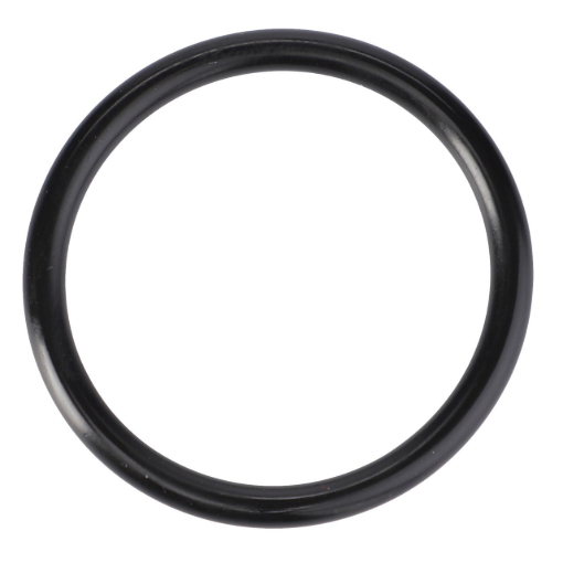 Picture of O-RING