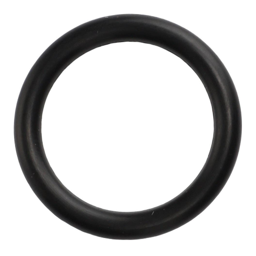 Picture of O-RING