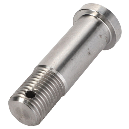 Picture of BOLT