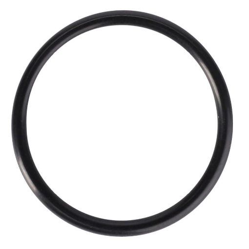Picture of O-RING