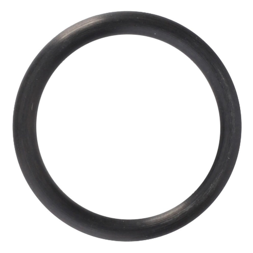 Picture of O-RING