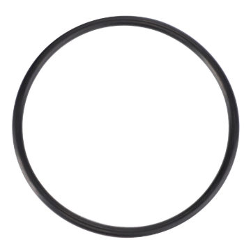 Picture of O-RING