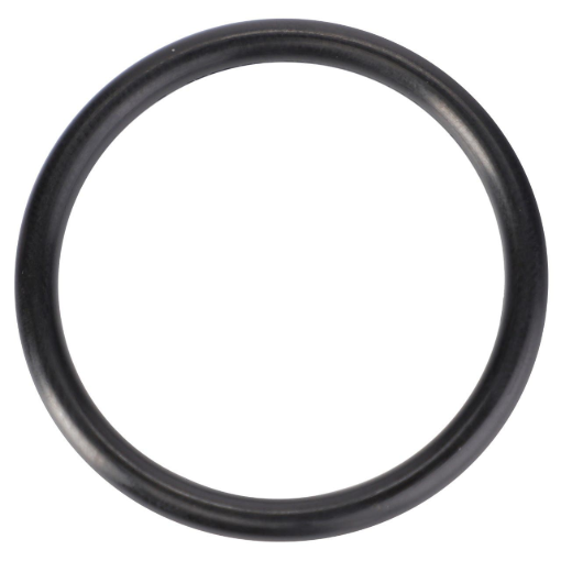 Picture of O-RING