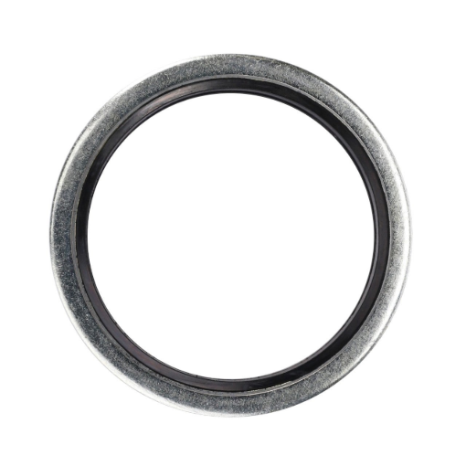 Picture of DICHTRING