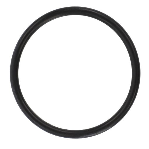 Picture of O-RING