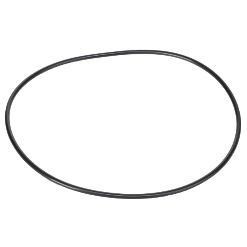Picture of O-RING