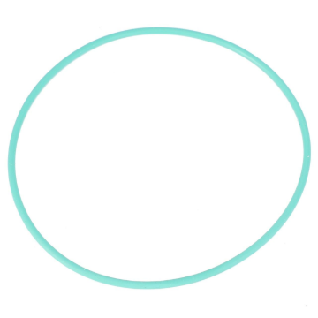 Picture of O-RING