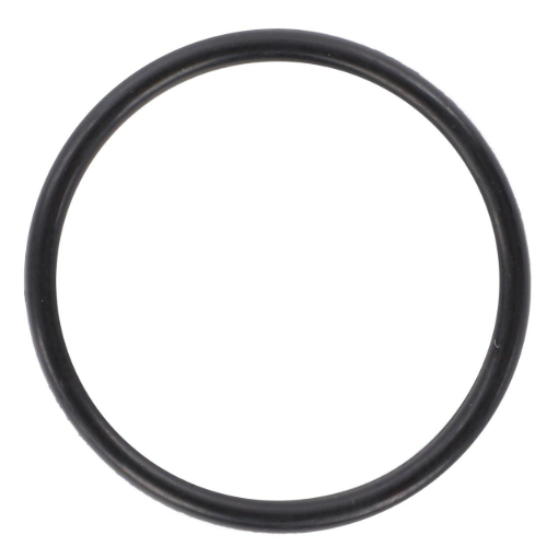 Picture of O-RING