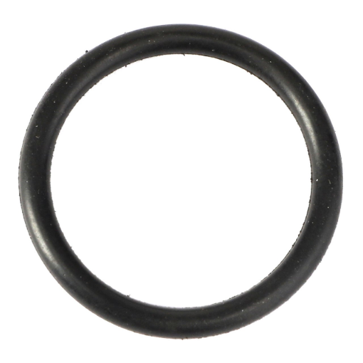 Picture of O-RING