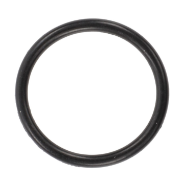 Picture of O-RING