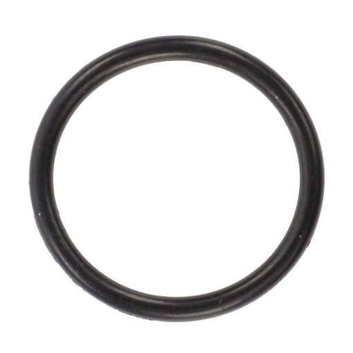Picture of O-RING