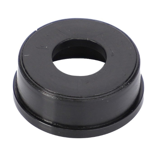 Picture of RING