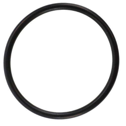 Picture of O-RING