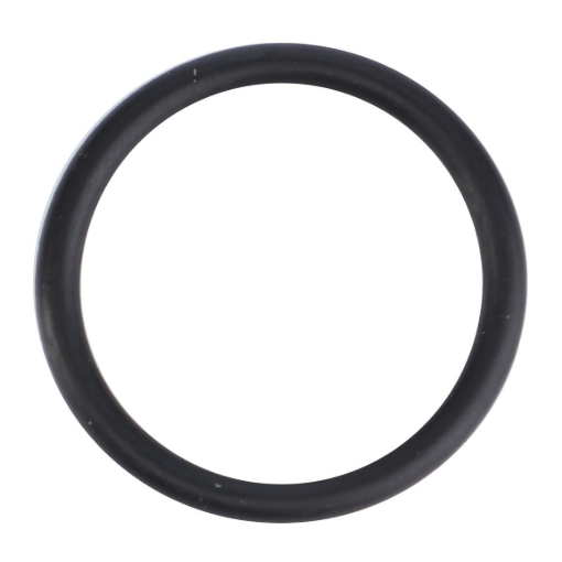 Picture of O RING
