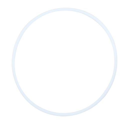 Picture of RING